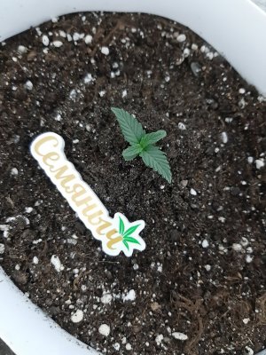 20230803_201826.jpg 20230803_201826.jpg