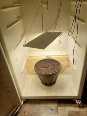 IMG20230804140415.jpg IMG20230804140415.jpg