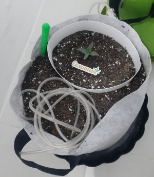 20230804_153008.jpg 20230804_153008.jpg