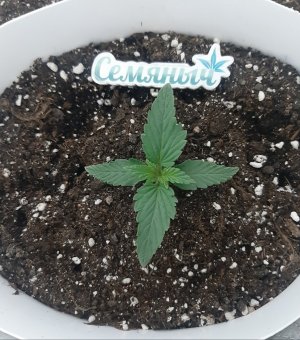 20230804_173111.jpg 20230804_173111.jpg