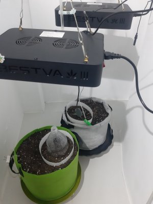 20230804_173002.jpg 20230804_173002.jpg