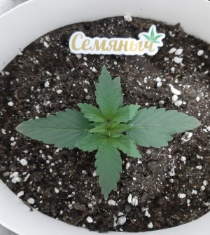 20230805_113137.jpg 20230805_113137.jpg