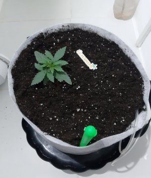 20230805_112803.jpg 20230805_112803.jpg