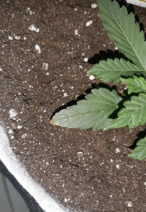 20230806_112241.jpg 20230806_112241.jpg