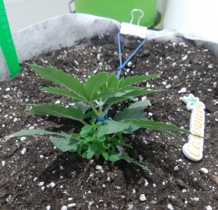 20230806_111853.jpg 20230806_111853.jpg