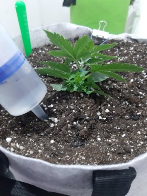 20230806_111833.jpg 20230806_111833.jpg