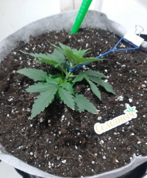 20230807_183513.jpg 20230807_183513.jpg