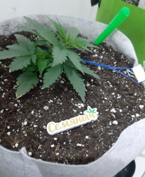 20230807_184107.jpg 20230807_184107.jpg