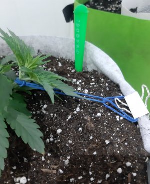 20230807_184408.jpg 20230807_184408.jpg