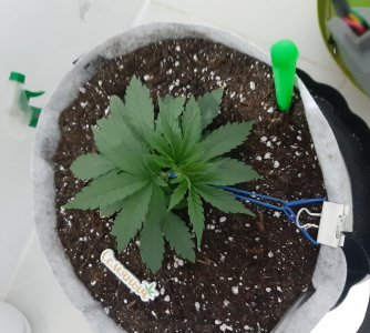 20230807_184318.jpg 20230807_184318.jpg