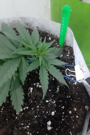 20230808_185130.jpg 20230808_185130.jpg