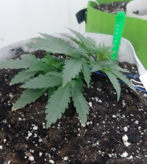 20230808_185108.jpg 20230808_185108.jpg