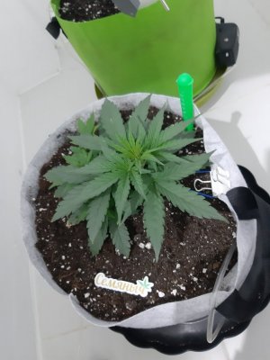 20230808_192357.jpg 20230808_192357.jpg