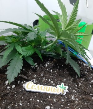 20230808_192227.jpg 20230808_192227.jpg