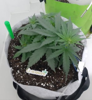 20230809_174259.jpg 20230809_174259.jpg