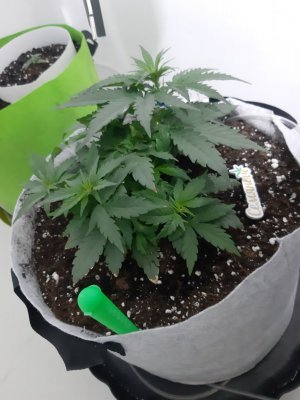 20230809_174137.jpg 20230809_174137.jpg