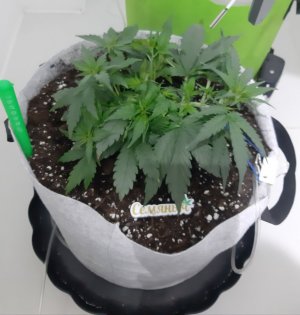 20230809_174057.jpg 20230809_174057.jpg