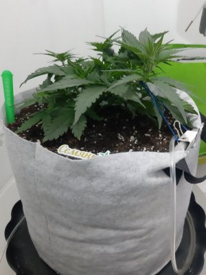 20230809_183549.jpg 20230809_183549.jpg