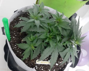 20230809_183945.jpg 20230809_183945.jpg