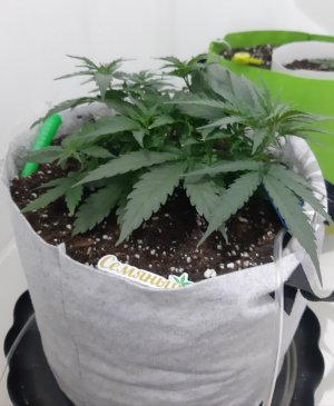 20230810_184142.jpg 20230810_184142.jpg