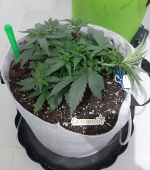 20230810_184720.jpg 20230810_184720.jpg