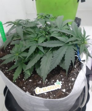 20230810_190141.jpg 20230810_190141.jpg