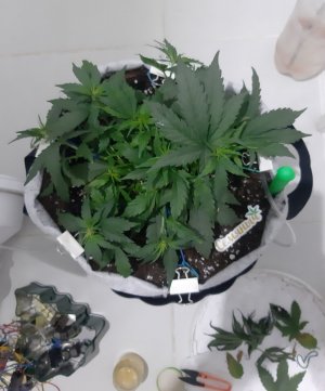 20230810_191723.jpg 20230810_191723.jpg