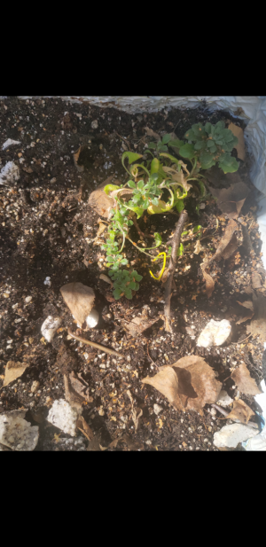 S30810-153557.png S30810-153557.png