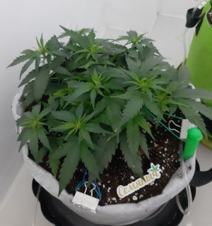 20230811_194639.jpg 20230811_194639.jpg