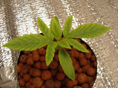 DSC00480.JPG DSC00480.JPG