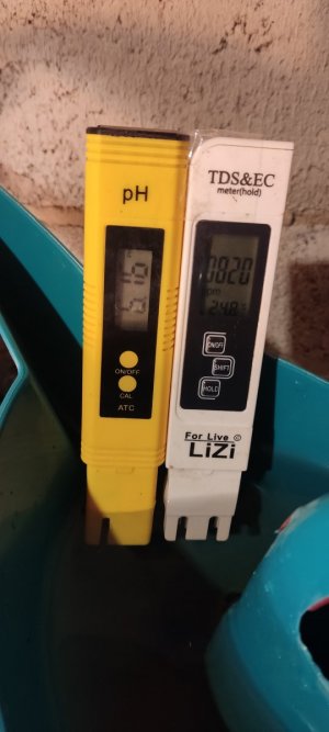 IMG_20230807_234155.jpg IMG_20230807_234155.jpg