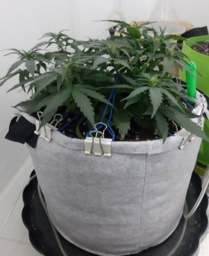 20230812_104945.jpg 20230812_104945.jpg