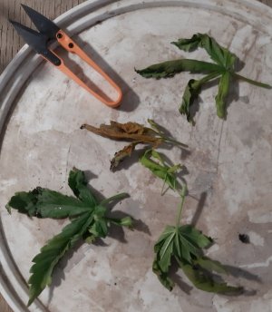 20230812_111257.jpg 20230812_111257.jpg