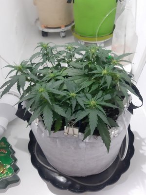 20230812_112257.jpg 20230812_112257.jpg