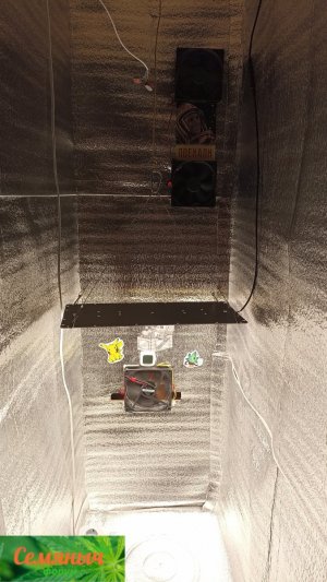 Picsart_23-08-12_12-27-49-079.jpg Picsart_23-08-12_12-27-49-079.jpg