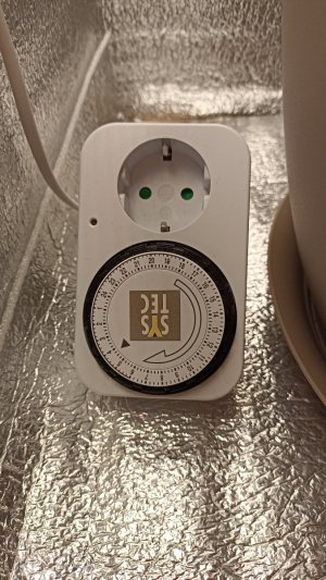 IMG_20230812_110252.jpg IMG_20230812_110252.jpg