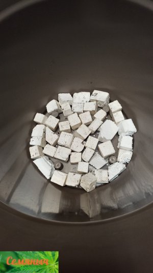 Picsart_23-08-09_11-10-12-586.jpg Picsart_23-08-09_11-10-12-586.jpg