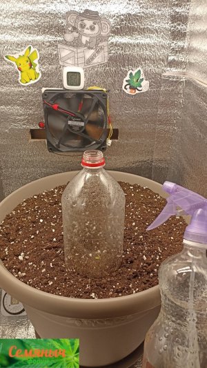 Picsart_23-08-09_11-29-32-602.jpg Picsart_23-08-09_11-29-32-602.jpg