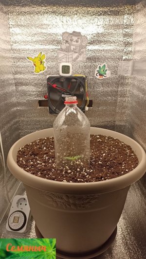 Picsart_23-08-13_07-25-50-369.jpg Picsart_23-08-13_07-25-50-369.jpg