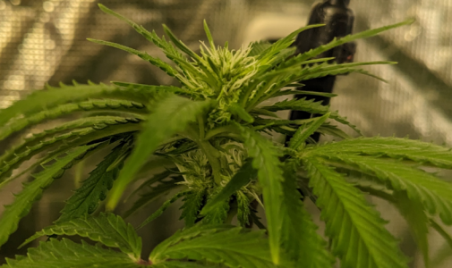 1691917290929.png 1691917290929.png