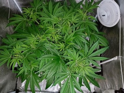 photo_2023-08-13_15-25-31.jpg photo_2023-08-13_15-25-31.jpg