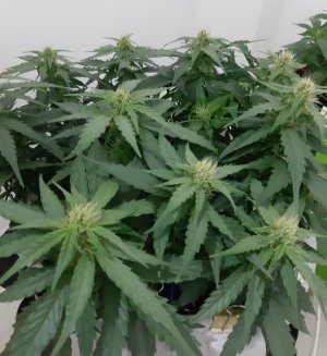 20230813_144841.jpg 20230813_144841.jpg