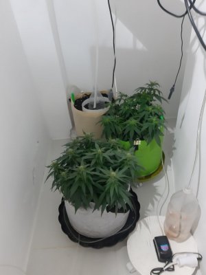 20230814_224213.jpg 20230814_224213.jpg