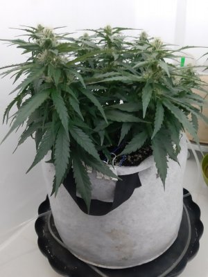 20230814_224314.jpg 20230814_224314.jpg