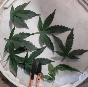 20230814_225230.jpg 20230814_225230.jpg