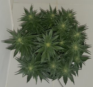 20230815_201600.jpg 20230815_201600.jpg