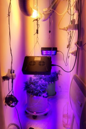 20230815_201021.jpg 20230815_201021.jpg