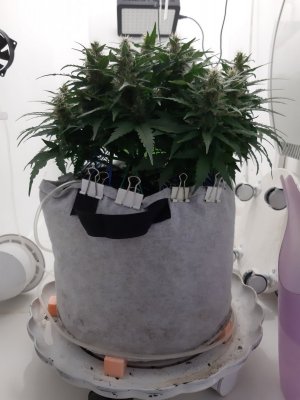 20230815_200940.jpg 20230815_200940.jpg