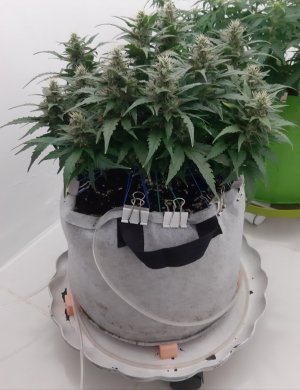 20230817_154646.jpg 20230817_154646.jpg