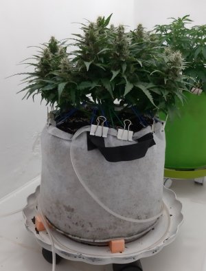 20230817_154921.jpg 20230817_154921.jpg